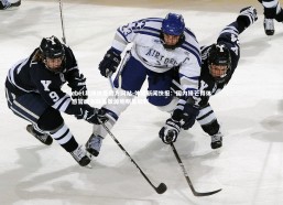 ebet易博体育官方网站-体育新闻快报：国内锋芒得体感官盛会敲晃策源地明星加料